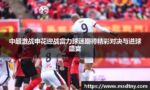 熊猫体育中超激战申花迎战富力球迷期待精彩对决与进球盛宴